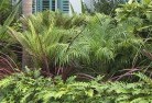 North Yeovaltropical-landscaping-2.jpg; ?>