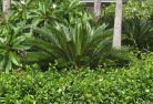 North Yeovaltropical-landscaping-4.jpg; ?>