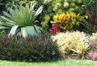 North Yeovaltropical-landscaping-9.jpg; ?>